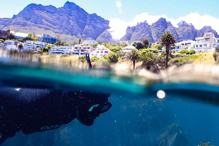 Kelp Forest Snorkeling in Cape Town - Photo 1 of 13